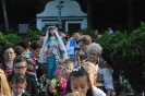 Święto Maryjne 2017_109